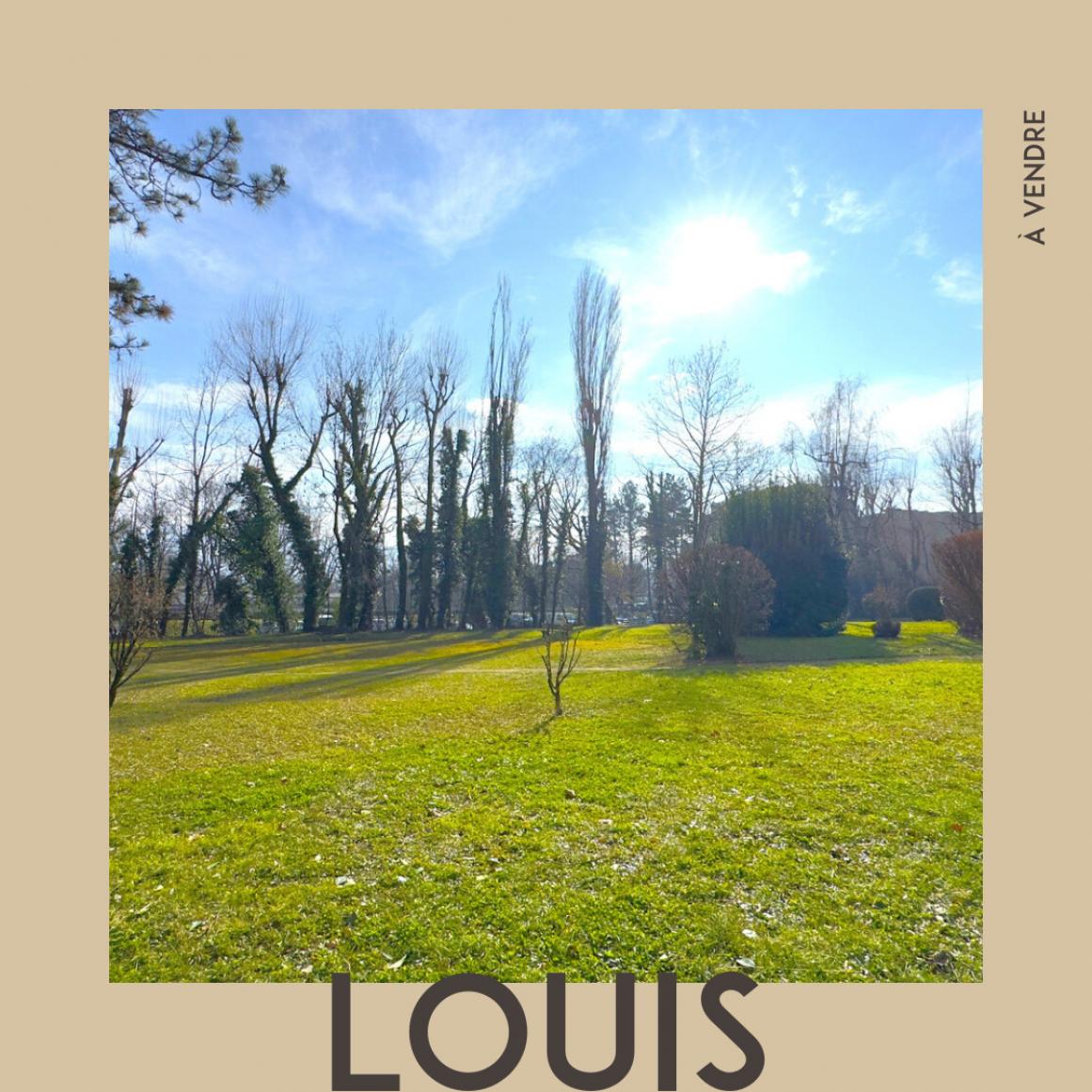 LOUIS - Photo 1
